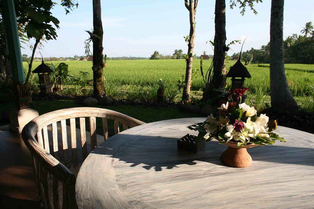 Umasari Rice Terrace Villa Selemadeg Exteriör bild