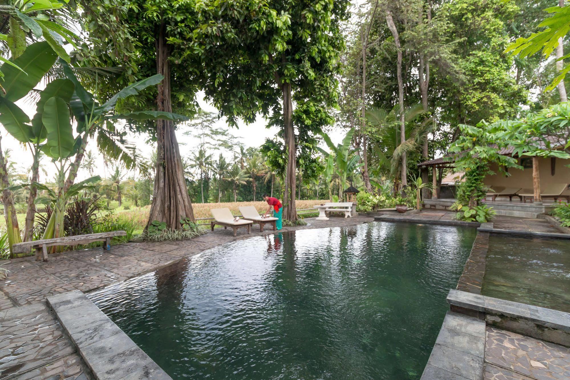 Umasari Rice Terrace Villa Selemadeg Exteriör bild